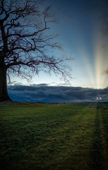 Fototapeta na wymiar Baum in der Abendstimmung mit Sonnenuntergang und Regenwolken