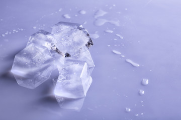 Transparent ice cubes on color mirror surface. Space for text