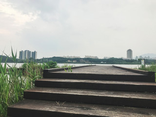 The wooden pier overgrown with reeds on the lake of Sokcho city, South Korea