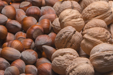 background of   lot of walnuts and hazelnut