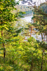 Landscape scene, flowing river streams through coastal trees branches