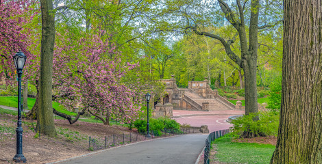 Central Park, New York City in spring