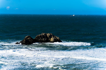 Fototapeta premium The view of Lands end at San Francisco- San Francisco. summer , cloud , rock , sea, plant.