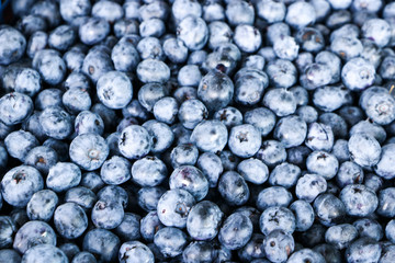 Ripe blueberries. Close-up. Along the edges of the objects are out of focus.
