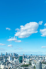 Fototapeta premium 東京風景