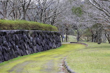 塘之池公園　冬景色