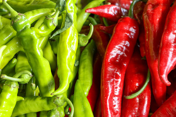 Pods of red and green bitter pepper. Harvest vegetables on the market counter. Close-up.