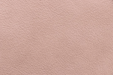 Fototapeta premium Sample texture of natural leather light pink color. Material of animal origin. Close-up.