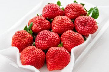 イチゴの写真素材