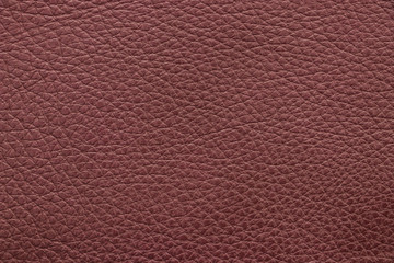 Sample genuine leather brown colour. Material of animal origin. Skin texture Close-up.