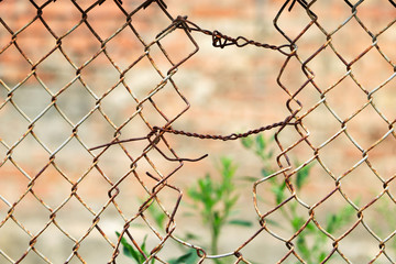 Hole in the fence of iron mesh.