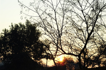 Sunrise at village morning