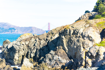 Fototapeta premium The view of golden gate bridge in Lands end at San Francisco- San Francisco. summer , cloud , rock , sea, plant.