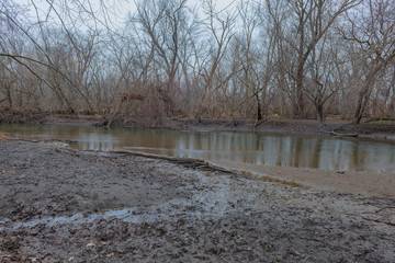 Swamp with river