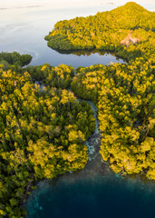 Aerial View of Mangrove Channel on Yangeffo Island in Raja Ampat