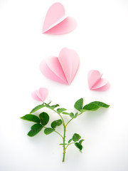 creative love pink paper hearts