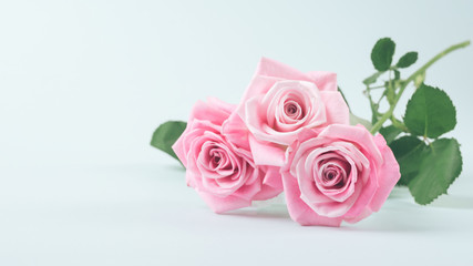 Fresh pink roses on a light pastel background. Delicate bouquet for the holiday. Selective focus. Frame for postcards. Copy space. Place for text or design.