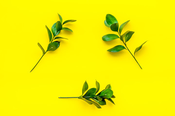 Composition with green branches, leaves on yellow background top view copy space