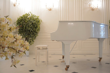 music room with white piano