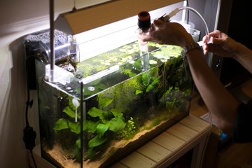熱帯魚の水槽