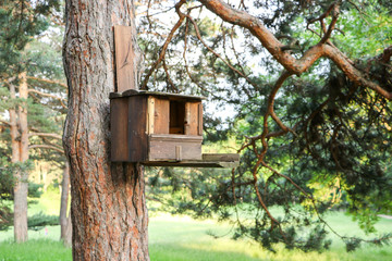 A wooden birdhouse on a tree. Spring in Kislovodsk park.