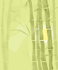 Fototapeta na wymiar Bamboo illustration plant nature garden illustration