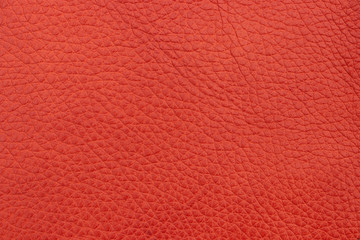 Sample genuine leather red colour. Material of animal origin. Close-up.