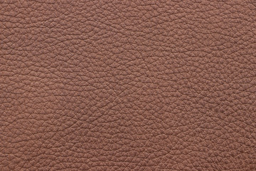 Brown leather texture sample. Material of animal origin. Close-up.