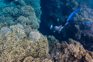 Free diver explores an underwater crevice