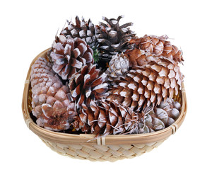 Christmas pine and fir cones in a basket isolated