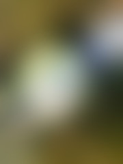 Artistic style Defocused urban abstract texture background for your design