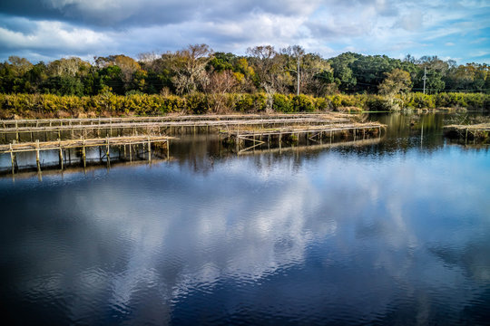 A scenic and peaceful view of the park at Avery Island, Louisiana