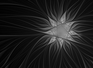 Abstract light fractal flower on a black background