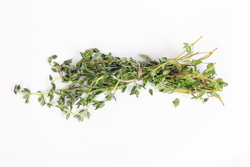 Thyme leaf Herb green fragrant branch on white background
