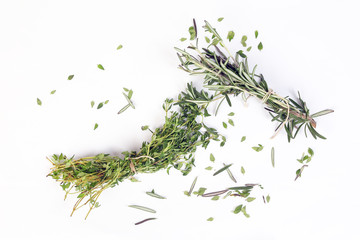 Rosemary Thyme green herb bundle on white background