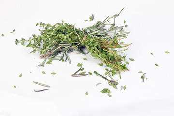 Thyme leaf Herb green fragrant branch on white background