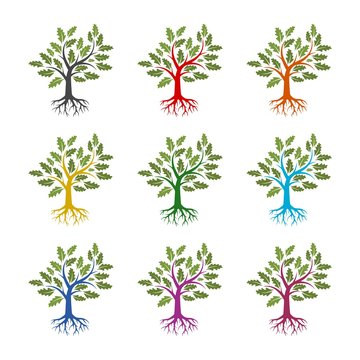 Tree and root icon or logo, color set