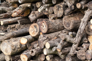 old wood background