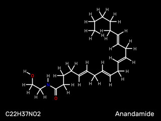 Anandamide, endogenous neurotransmitter structural formula. Vector illustration