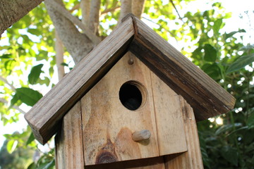chalet en bois