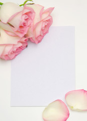 pink roses and postcard pattern and petals on wooden 