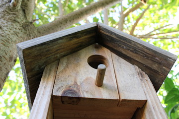 cabane en bois