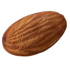 One almond fruit isolated on white with maximum sharpness