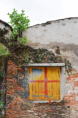 old colorful window wall  with tree in the city