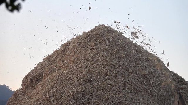 Grain Cleaning Machine Working in Field
