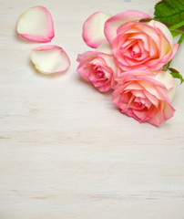 pink roses and petals on wooden white background 