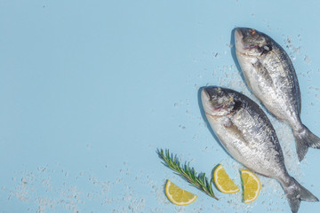 Raw dorada fish with spices, salt, lemon and herbs, rosemary on a ligth-blue background. Top view.
