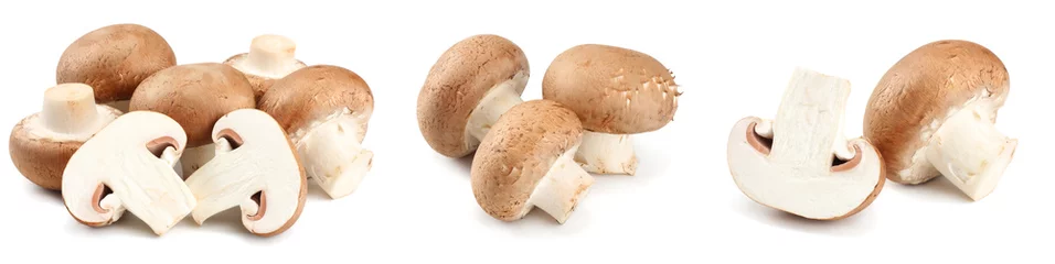 Photo sur Plexiglas Légumes frais Fresh champignon mushrooms isolated on white background