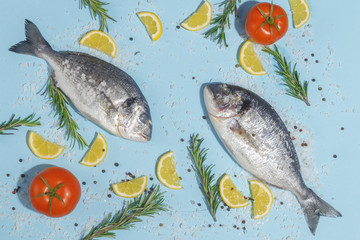 Raw dorada fish with spices, salt, lemon and herbs, rosemary on a ligth-blue background. Top view.