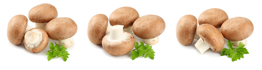 Fresh champignon mushrooms with parsley isolated on white background